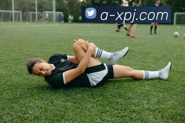 新葡京娱乐平台生态图